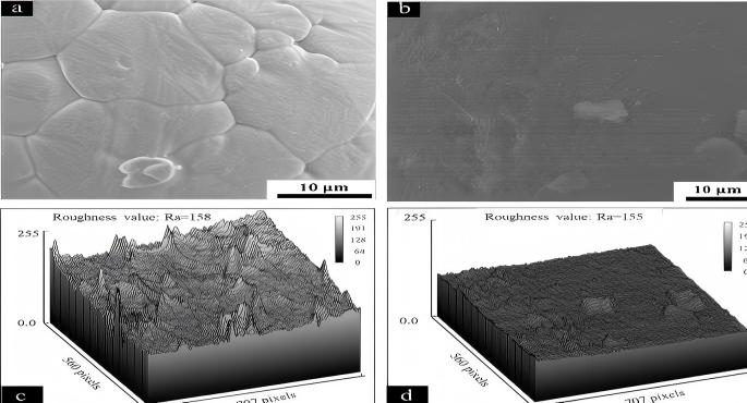 Titanium Anode SEM | NAVI Titanium Titanium Anode SEM | NAVI Titanium