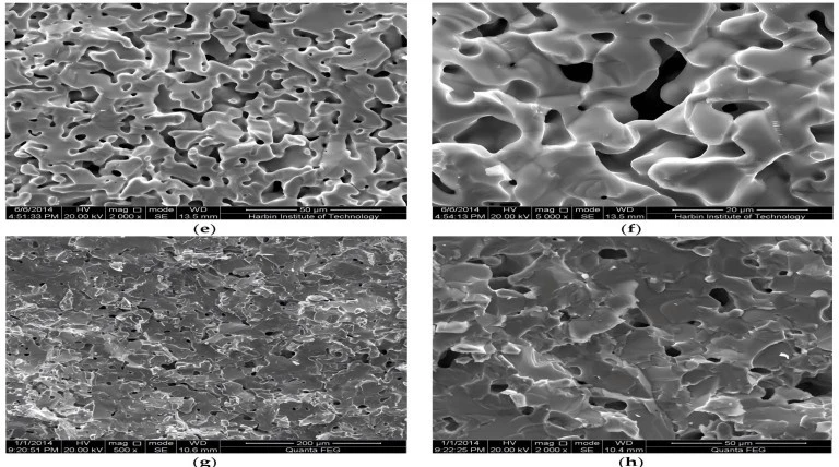 Sintered Metal Powder Surface | NAVI Titanium Sintered Metal Powder Surface | NAVI Titanium